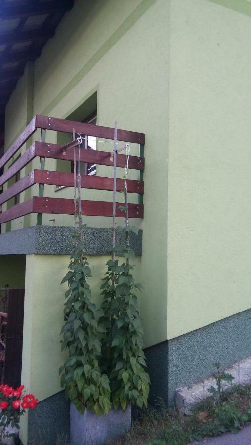 Apartma Juha - Breg pri Borovnici Экстерьер фото